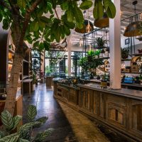 2CePEmSulOhWaZp6ARBvr3hm5I