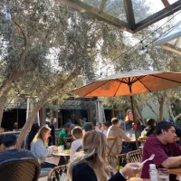 5de1801779d757192340c2b3